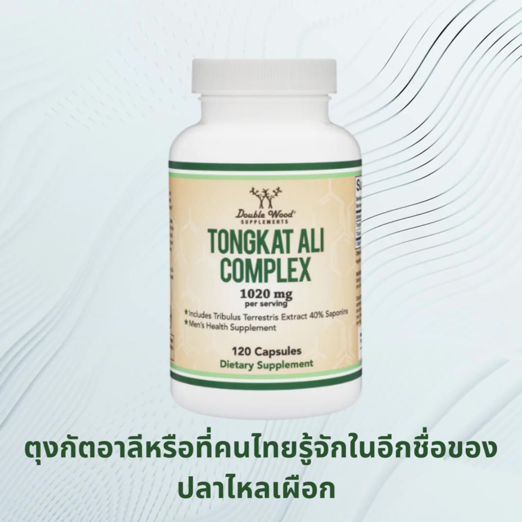 tongkat-ali-extract-by-doublewood-ปลาไหลเผือก-เสริมสร้างสมรรถภาพทางเพศ