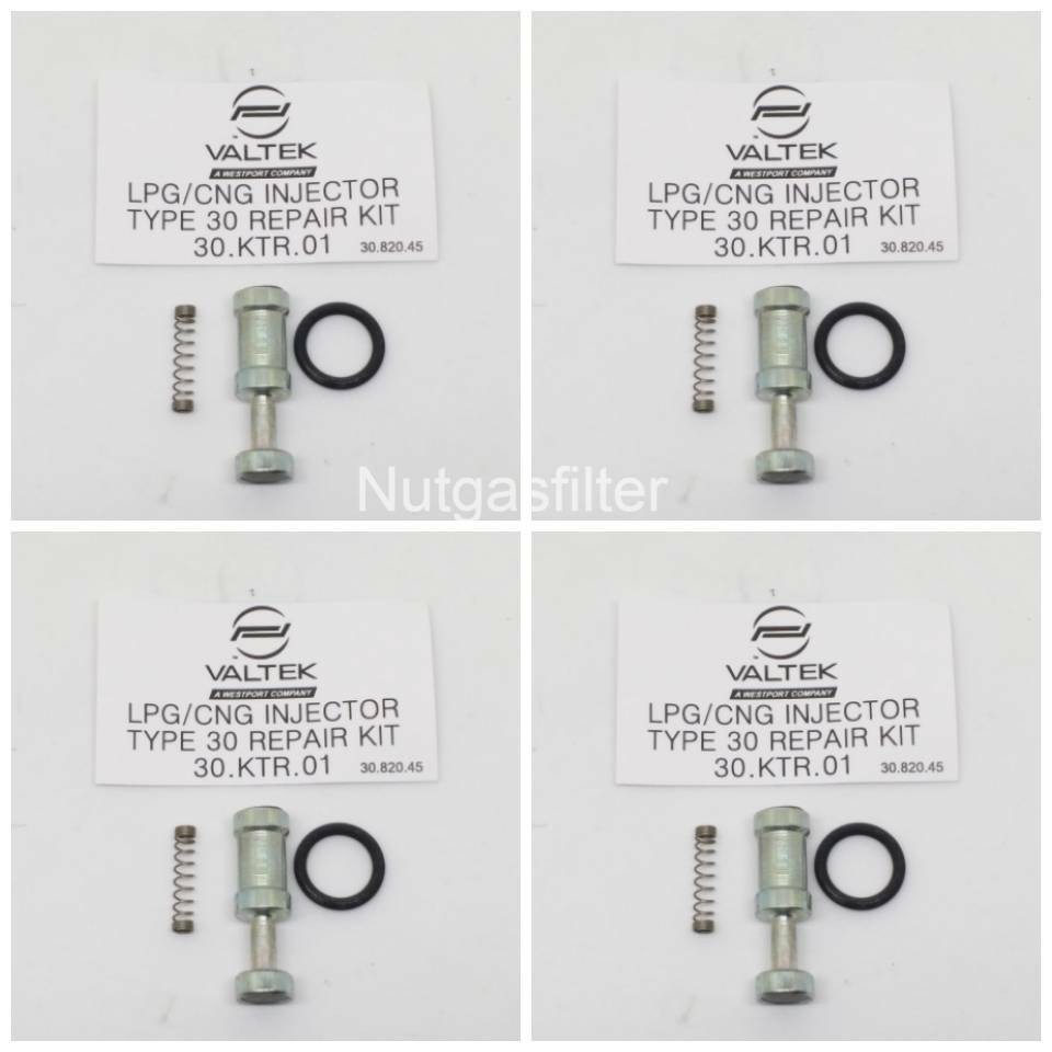 ชุดซ่อมรางหัวฉีด VALTEK x 4 | Shopee Thailand