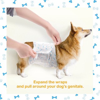 ภาพขนาดย่อของภาพหน้าปกสินค้าโอบิ Dono Petsoft รวมพลสุนัขพันธุ์เล็ก Dono Male/Petsoft Male จากร้าน onede_petshop บน Shopee