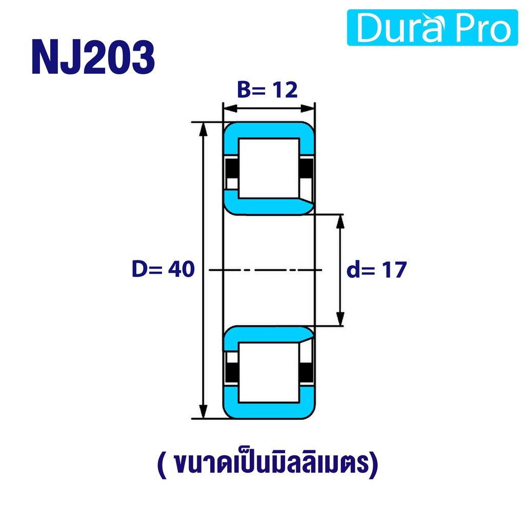 nj202-nj203-nj204-nj205-nj206-nj207-ตลับลูกปืนเม็ดทรงกระบอก-cylindrical-roller-bearings-nj-202-nj-207-nj-nu-nf