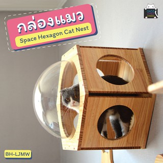 กล่องแมว (BH-LJMW) Space Hexagon Cat Nest