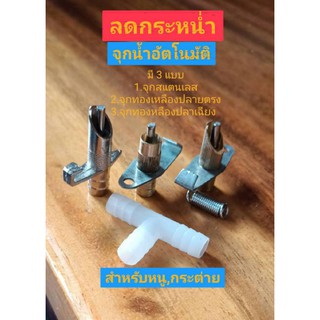 ภาพหน้าปกสินค้าชุดให้น้ำหนู,กระต่าย ที่เกี่ยวข้อง