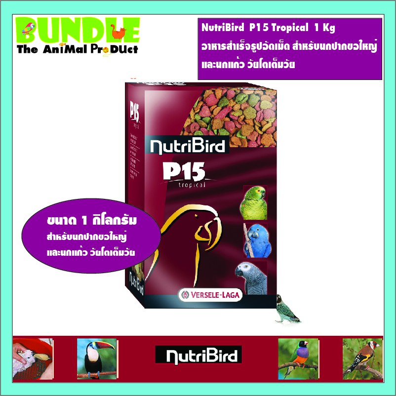 ภาพหน้าปกสินค้าNutriBird P15 Tropical 1 Kg  อาหารสำเร็จรูปอัดเม็ด สำหรับนกปากขอใหญ่ และนกแก้ว วัยโตเต็มวัย