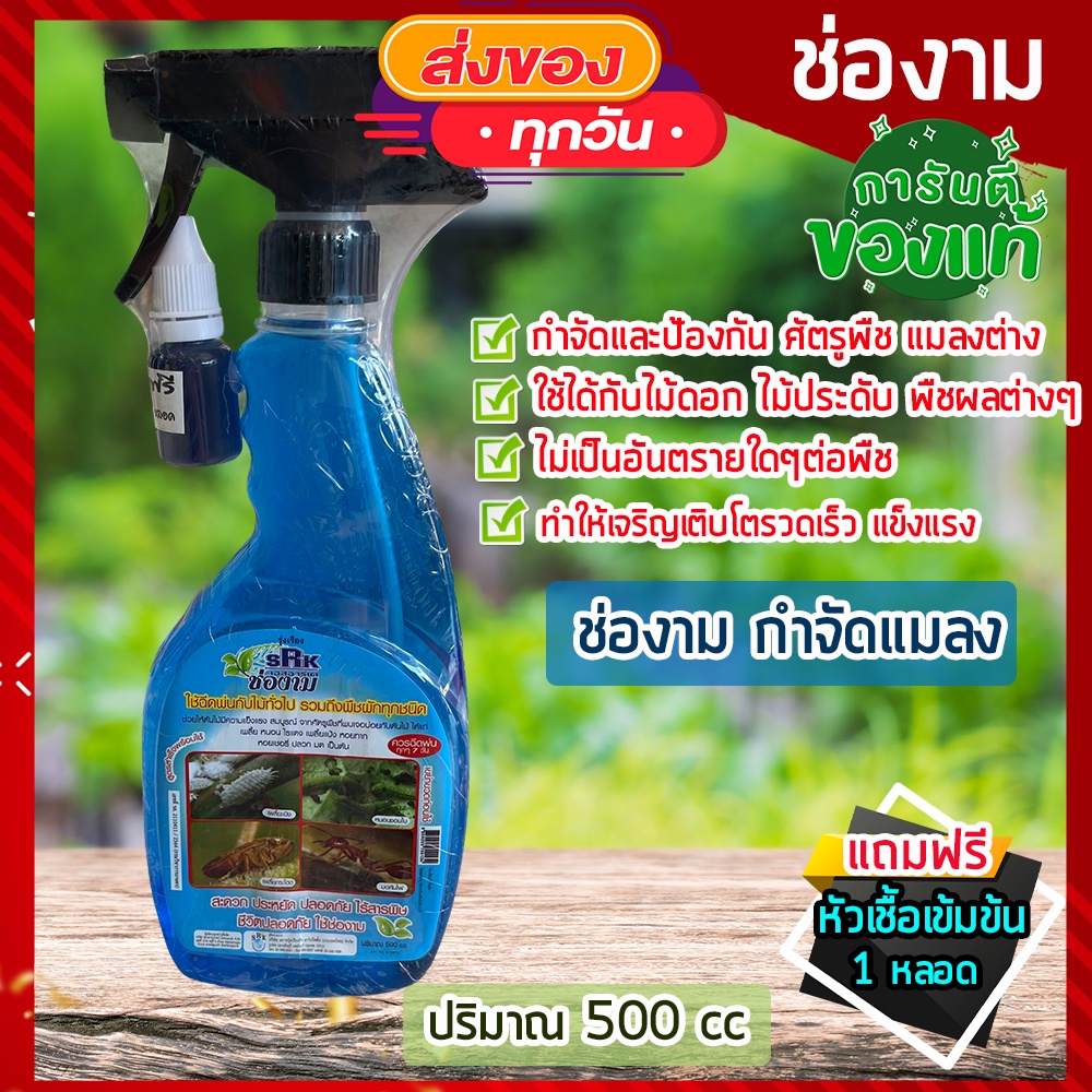 ถูกทีสุด-ช่องาม-สเปรย์-ชีวภาพ-500-ml-แถมฟรี-หัวเชื้อ-สำหรับพืชทุกชนิด-เร่งต้น-ใบ-เร่งดอก-กำจัดเชื้อรา-แมลง-ศัตรูพืช