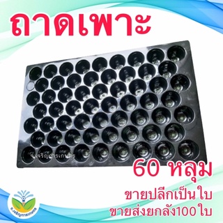 สินค้า ถาดเพาะ ถาดเพาะกล้า ถาดเพาะเมล็ด แบบหนา 60-104-105-200 หลุม