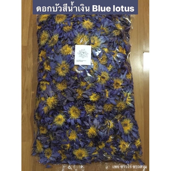 ดอกบัวสีน้ำเงิน-blue-lotus-ส่งตรงจากสวนบัว-เก็บ-อบ-ใหม่-สีสวย-กลิ่นหอม-สั่งเยอะ-ต่อรองราคาได้ค่ะ
