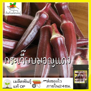 เมล็ดพันธุ์ กระเจี๊ยบมอญ สีแดง 30 เมล็ด Red Burgundy Okra Seed เมล็ดพันธุ์แท้ 50 เมล็ด (ไม่ใช่พืชที่มีชีวิต)