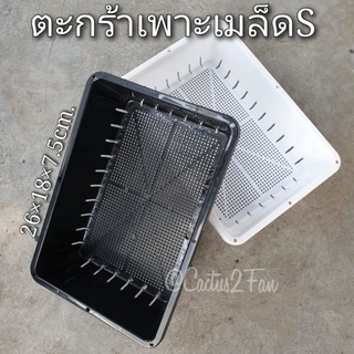 ตะกร้าเพาะเมล็ด/ถาดเพาะเมล็ด