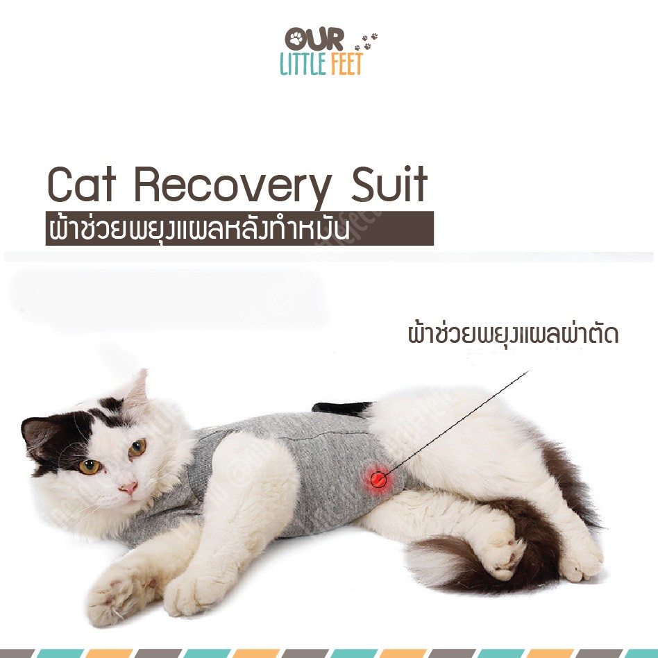 ภาพหน้าปกสินค้าเสื้อหลังผ่าตัด เสื้อพยุงแผลผ่าตัด สำหรับแมว