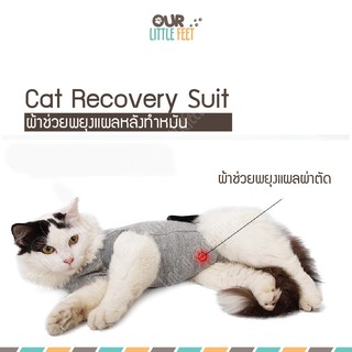 ภาพขนาดย่อของสินค้าเสื้อหลังผ่าตัด เสื้อพยุงแผลผ่าตัด สำหรับแมว