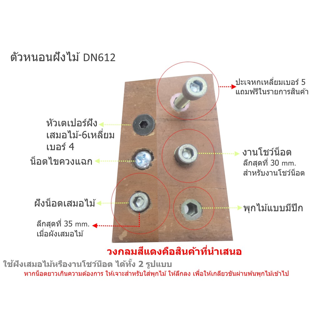 ตัวหนอนฝังไม้-dn612-m6-ปีกบาง0-65mm-พุกตัวหนอนผังไม้-20ชุด-พุกฝังไม้แบบมีปีก-ตัวหนอนผังไม้แบบมีปีก-หนอนฝังไม้แบบมีปีก