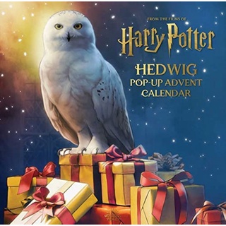 [หนังสือ] Harry Potter: Hedwig Pop-Up Advent Calendar Christmas Matthew Reinhart แฮร์รี่ พอตเตอร์ holiday magic book