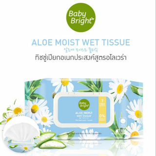 ทิชชู่เปียก อโลมอยส์เว็ททิชชู่ เบบี้ ไบร์ท 100 แผ่น Baby Bright Aloe moist Wet Tissue 100 Sheets