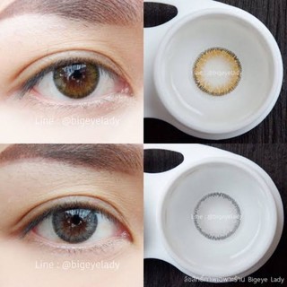 💟 Lollipop Cotton Candy brown gray Contactlens  บิ๊กอาย คอนแทคเลนส์ ราคาถูก แถมตลับฟรี