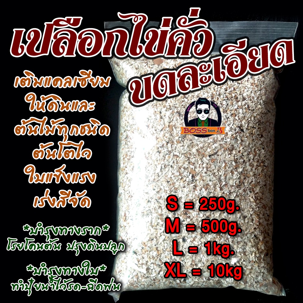เปลือกไข่คั่วบด-ละเอียด-ไซส์-s-250g-พืชดูซึมสารอาหารได้ง่าย