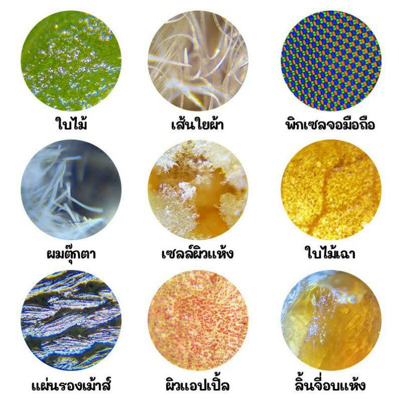 กล้องจุลทรรศน์สำหรับเด็ก-science-can