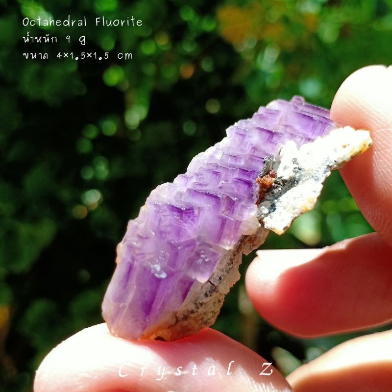 octahedral-purple-fluorite-octahedralfluorite-ฟลูออไรต์สีม่วง-จากประเทศจีน