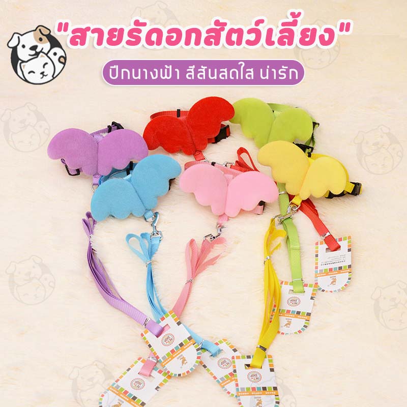 สายจูงรัดอก-สายจูงแมว-สายจูงสุนัข-สายรัดอกสัตว์เลียง-สายจูงสัตว์เลียง-สายจูงกระต่าย-สายจูงสองวรรค-รุ่นปีกนางฟ้า