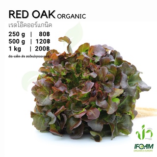 ภาพหน้าปกสินค้าเรดโอ๊คออร์แกนิค Organic Red Oak ปลูกธรรมชาติมาตรฐานออร์แกนิค IFOAM ผักสลัดผักสด เก็บ-แพ็ค-ส่ง เก็บใหม่ทุกออเดอร์ ที่เกี่ยวข้อง