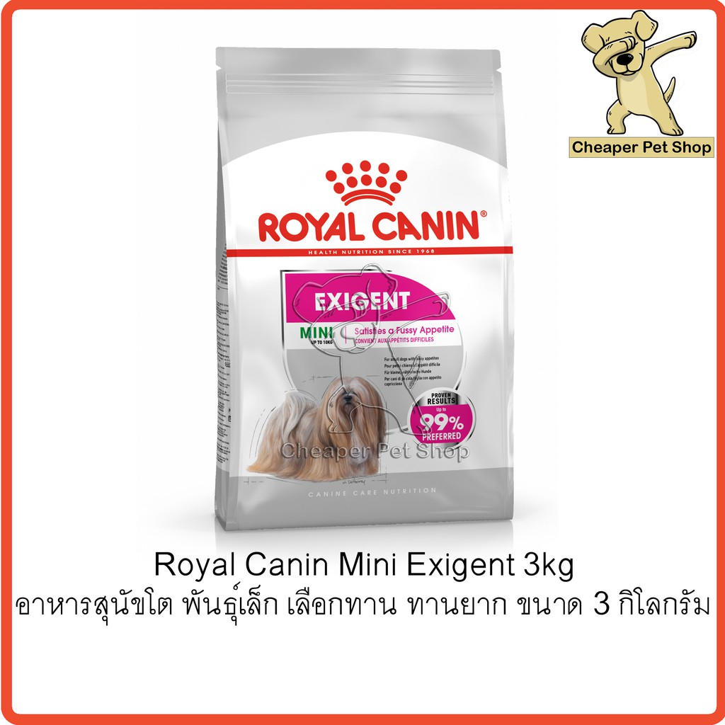 Royal canin 2024 exigent mini