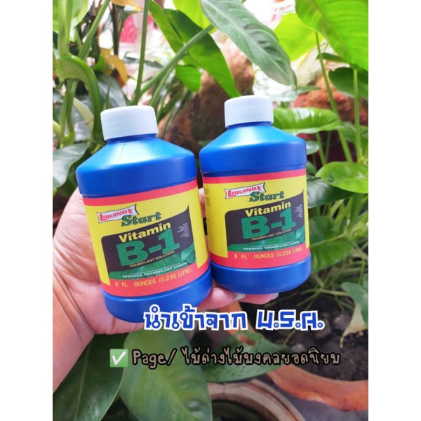 b-1-น้ำยาเร่งราก-ของแท้-นำเข้าจากสหรัฐอเมริกา-u-s-a-ปริมาณ-230-ml