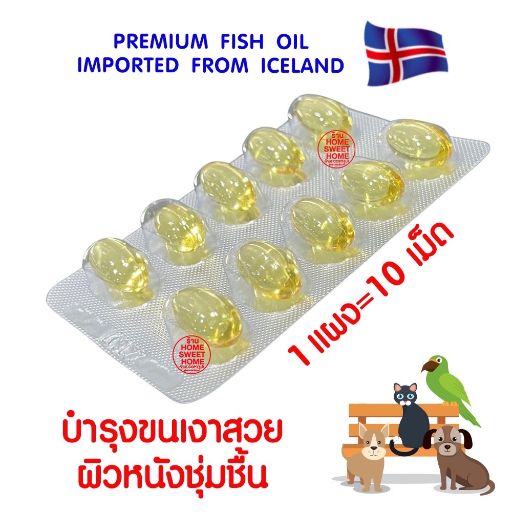 ภาพหน้าปกสินค้า*โค้ดส่งฟรี* โอทรีโกลด์ O3gold น้ำมันปลา (1แผง) O3 gold วิตามิน บำรุงผิว บำรุงขน แก้ขนร่วง สุนัข แมว นก หมา Fish oil จากร้าน homesweethome5599 บน Shopee