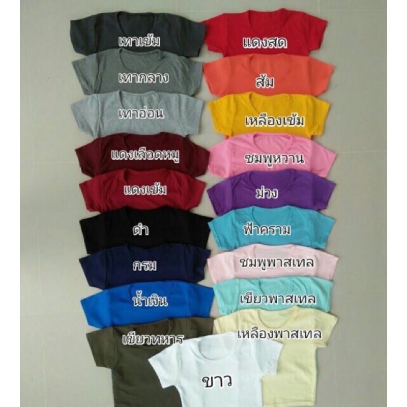 ภาพสินค้า𝗔𝗟𝗜𝗖𝗘𝗕𝗥𝗔 เสื้อครอปแขนสั้นผ้าคัตตอน มี12สี ผ้านิ่มมาก เสื้อผ้าเเฟชั่น เสื้อเเฟชั่น จากร้าน alicebra_shop บน Shopee ภาพที่ 7