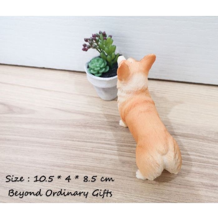 โมเดลคอร์กี้สองสียืน-พร้อมส่ง-welsh-corgi-model