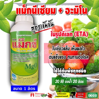 🌱🪴 โฟเลท แม็กซ์ แมกนีเซียม ( MgO ) สูตรเข้มข้นในรูปคีเลท ( EDTA ) ทำให้พืชใบเขียวเข้ม เร่งเขียว ต้านทานโรค ธาตุอาหารรอง