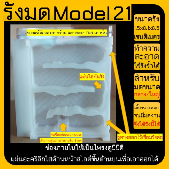 รังมด-model-21-ant-nest-รูทางออกขนาด8mm