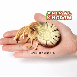 Animal Kingdom - โมเดลสัตว์ หอย นอติลอยด์ ครีมน้ำตาล ขนาด 10.50 CM (จากสงขลา)