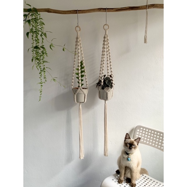 macrame-plant-hanger-มาคราเม่-ที่แขวนกระถางต้นไม้