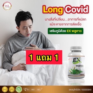 ‼️1 แถม 1 ‼️ส่งฟรี ‼️EX พลูคาว กระปุกเล็ก 30 แคปซูลกระตุ้นการสร้างเม็ดเลือดขาว เสริมสร้างภูมิคุ้มกันร่างกาย