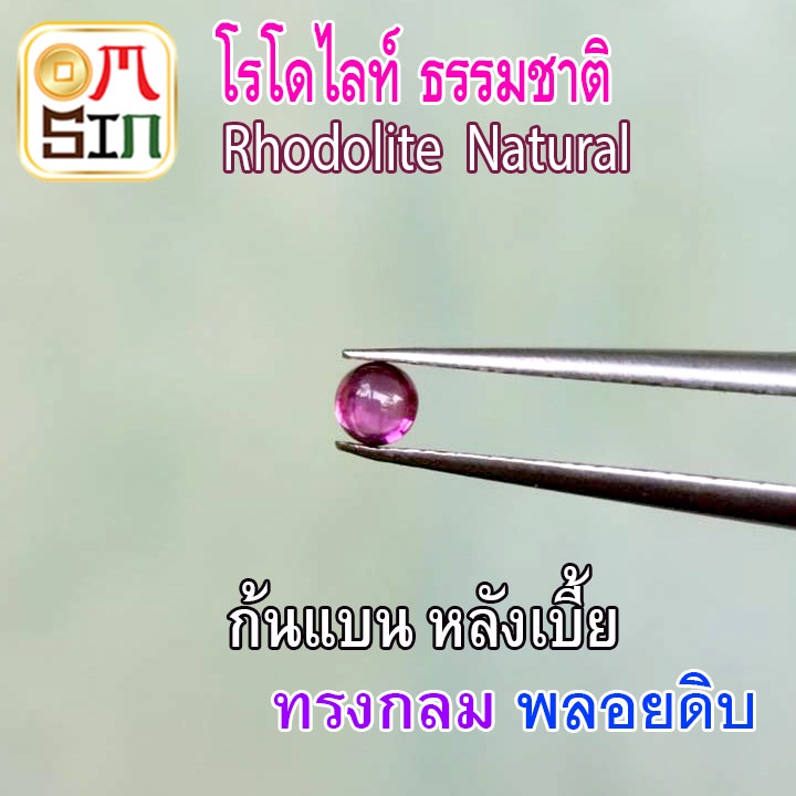 a211-3-มิล-1-เม็ด-หลังเบี้ย-กลม-โรโดไลท์-กาเน็ต-พลอยแท้-rhodolite-garnet-พลอยสด-พลอยดิบ-ธรรมชาติแท้-ไม่เผา