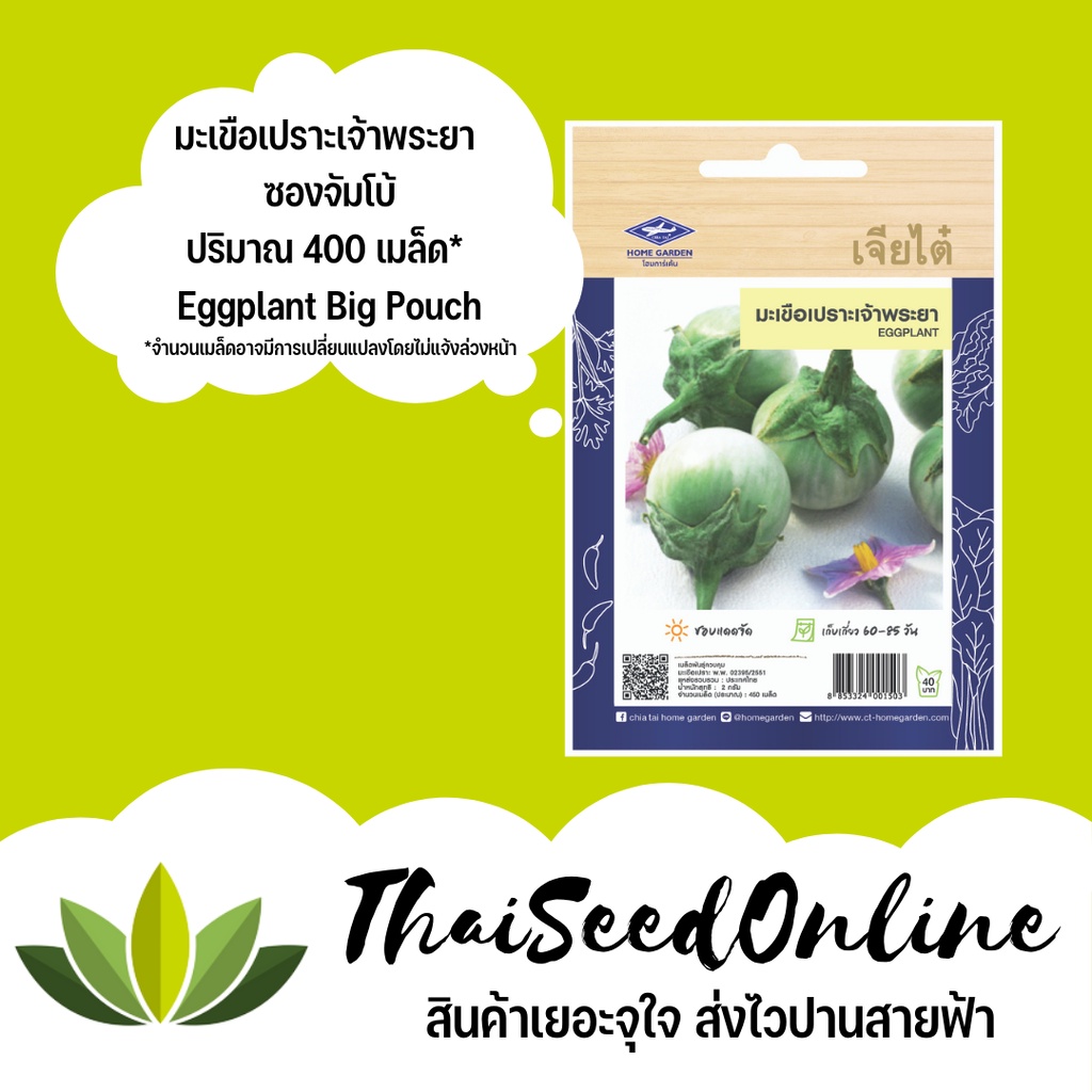ภาพสินค้าเมล็ดพันธุ์ มะเขือเปราะเจ้าพระยา 450 เมล็ด ซองจัมโบ้ เพิ่มปริมาณมากกว่า 3 เท่า ตราเจียไต๋ Eggplant จากร้าน thaiseedonline บน Shopee ภาพที่ 1
