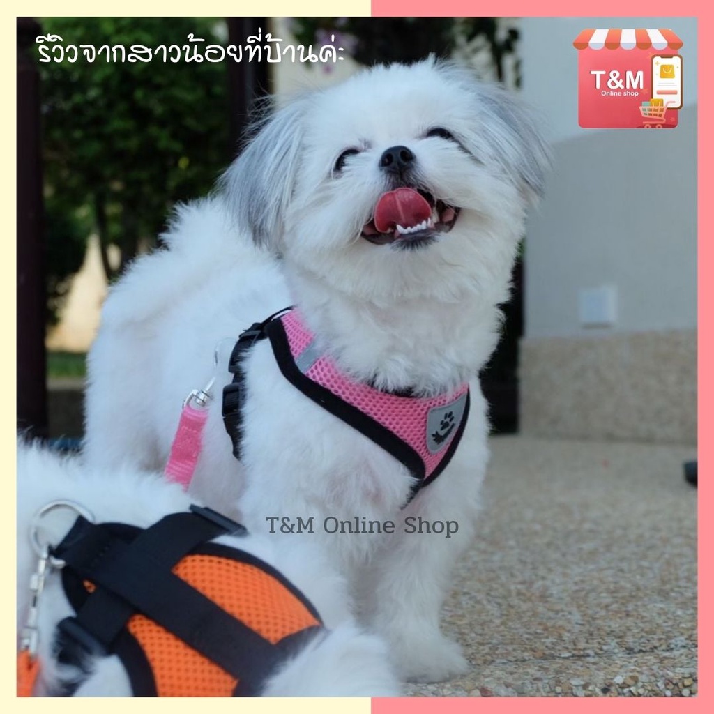 ภาพสินค้าพร้อมส่งในไทย เสื้อจูงสุนัข เสื้อจูงแมว สายจูง สายรัดอก เสื้อจูงสัตว์เลี้ยง จากร้าน tm.online บน Shopee ภาพที่ 7