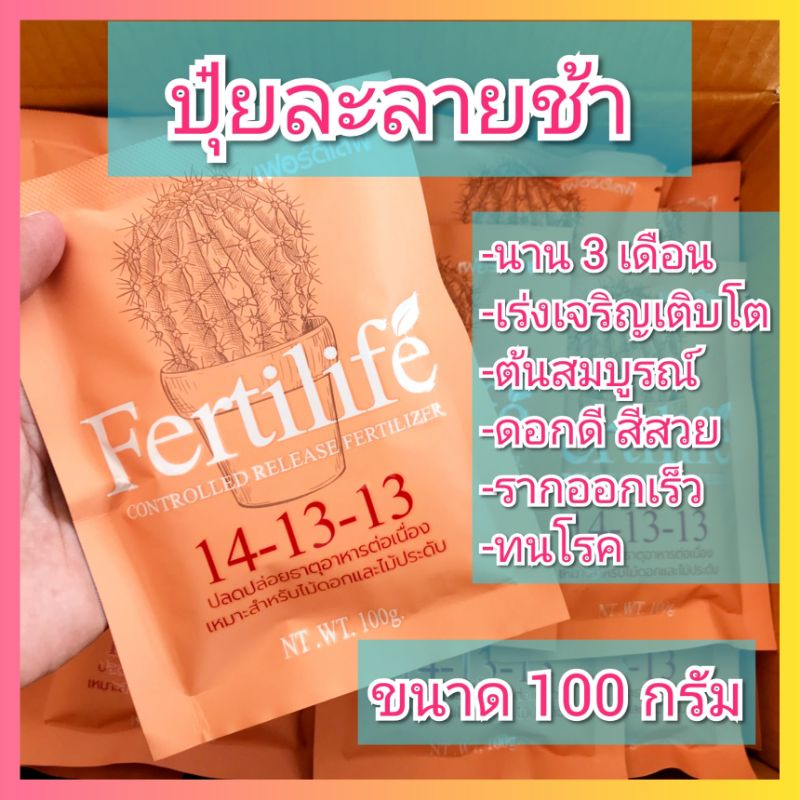 Ready go to ... https://shp.ee/zvsniwm [ เฟอร์ติไลฟ์ 100 กรัม ปุ๋ยละลายช้า ไม้กระถาง กล้วยไม้ แคตตัส ไม้ประดับ fertilife (แทน ออสโมโค้ท ) | Shopee Thailand]