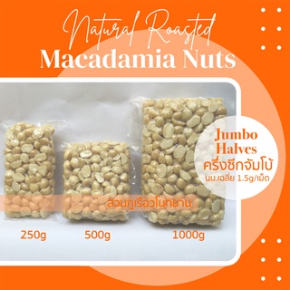 แมคคาเดเมีย อบพร้อมทาน ครึ่งซีกจัมโบ้ Macadamia nuts