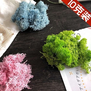 ร้อนแรงAAAไม่มีสิ่งสกปรกขั้วโลกนิรันดร์มอสพวงกุญแจฝาครอบแก้ววัสดุเสริมdiyแพคเกจวัสดุดอกไม้ลูกบอลรถแขวนดอกไม้แห้ง