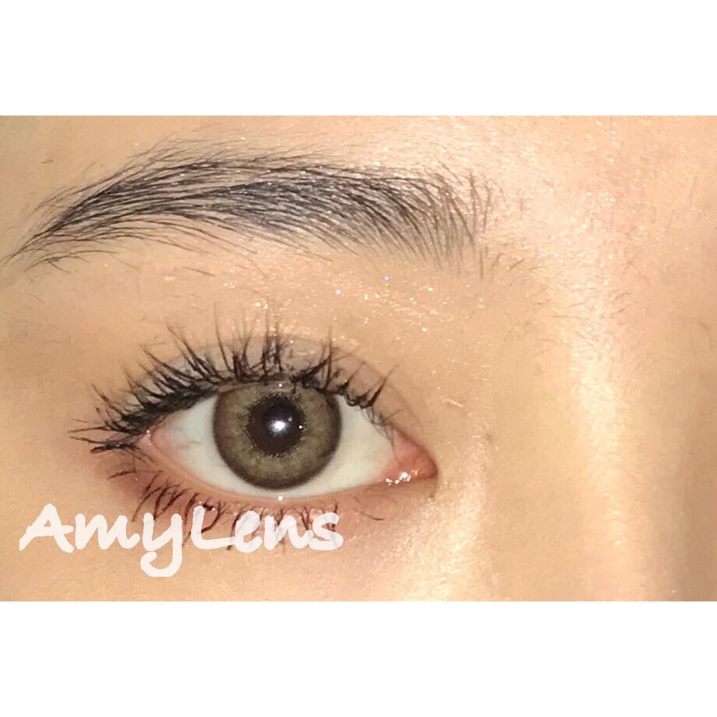 1pair-nov-22-europe-series-amylens-brand-14-0mm-power0-0-7-0-contact-lens-yearly-use-brown