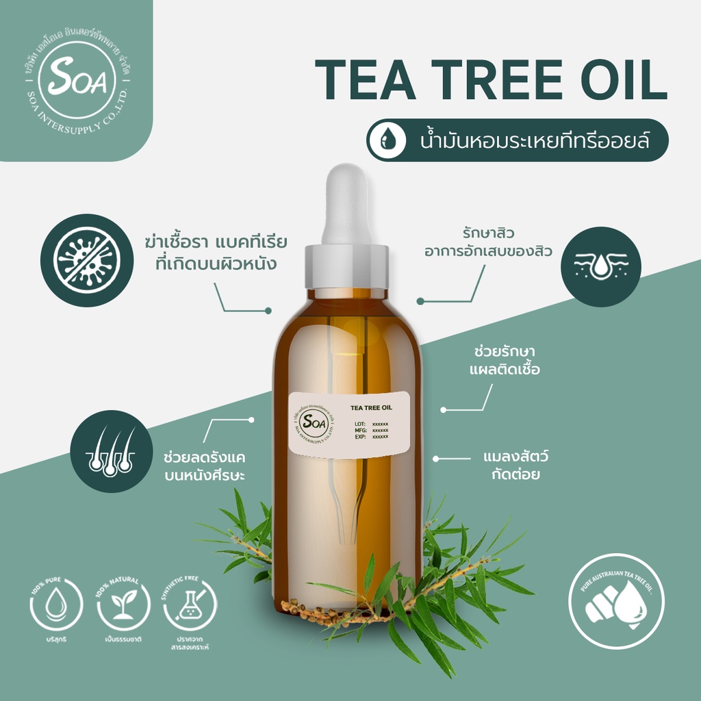 TEA TREE OIL (น้ำมันใบต้นทีทรี) ขนาด 50 กรัม | Shopee Thailand