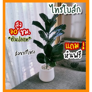 #ต้นไม้ปลอม ต้นไทรใบสัก สวยเนียน/ ต้นสูง 70cm พร้อมกระถาง+ฟรีหิน!!