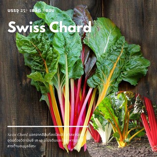 เมล็ด Swiss Chard Mix