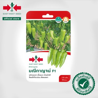 ศรแดง เมล็ดพันธุ์พริกหยวก มณีกาญจน์ F1 (East-West Seed) เมล็ดพันธุ์ ผักสวนครัว ตราศรแดง