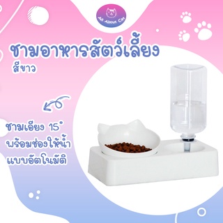 ภาพหน้าปกสินค้า[ ABC cat ] ชามน้ำอัตโนมัติ ชามอาหารสัตว์เลี้ยง ชามอาหารแบบเอียง 15 องศา ที่เกี่ยวข้อง