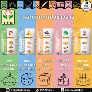 ภาพหน้าปกสินค้าTFM แป้งสาลีทีเอฟเอ็ม 🐸แป้งกบ 🛕ปิรามิด 🛸แป้งยานอวกาศ 🎀แป้งริบบิ้น 🐸แป้งกบ 🎍แป้งบัวหิมะ แป้งยานอวกาศ ที่เกี่ยวข้อง