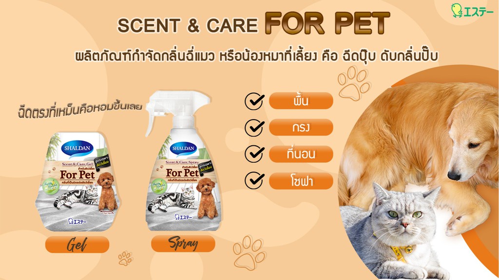 รูปภาพของ SHALDAN Scent & Care Spray สำหรับสัตว์เลี้ยง (380 ML.)