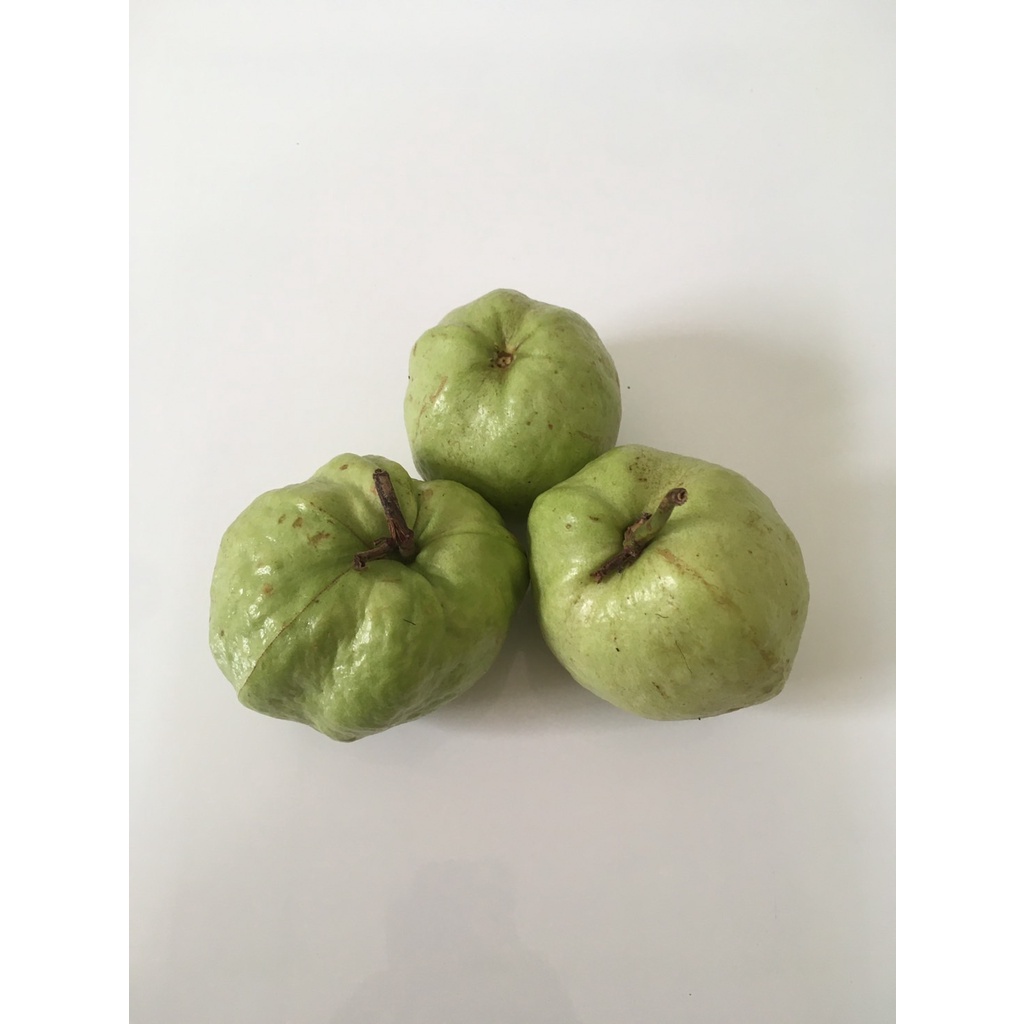 ฝรั่งกิมจู-1กิโล-ฝรั่งสดสะอาด-ผักผลไม้สดใหม่