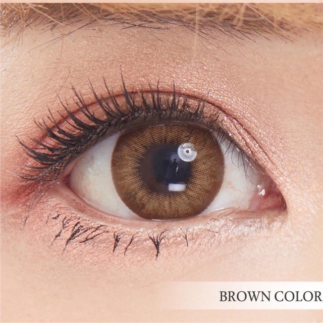 lapis-brown-บิ๊กอาย-สีน้ำตาล-น้ำตาล-sweety-ค่าอมน้ำ38-contact-lens-bigeyes-คอนแทคเลนส์-ค่าสายตา-สายตาสั้น-สายตาปกติ