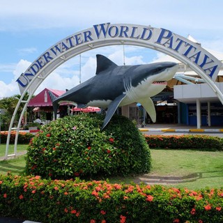 ภาพหน้าปกสินค้า{QRCode} Underwater World Pattaya อันเดอร์วอเตอร์เวิลด์ พัทยา ราคาถูก ใช้งานได้ทันที ที่เกี่ยวข้อง
